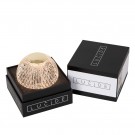 CINTRA Table lamp-Transp.-Ø9-LED Dimm.-1,5W-3000K thumbnail